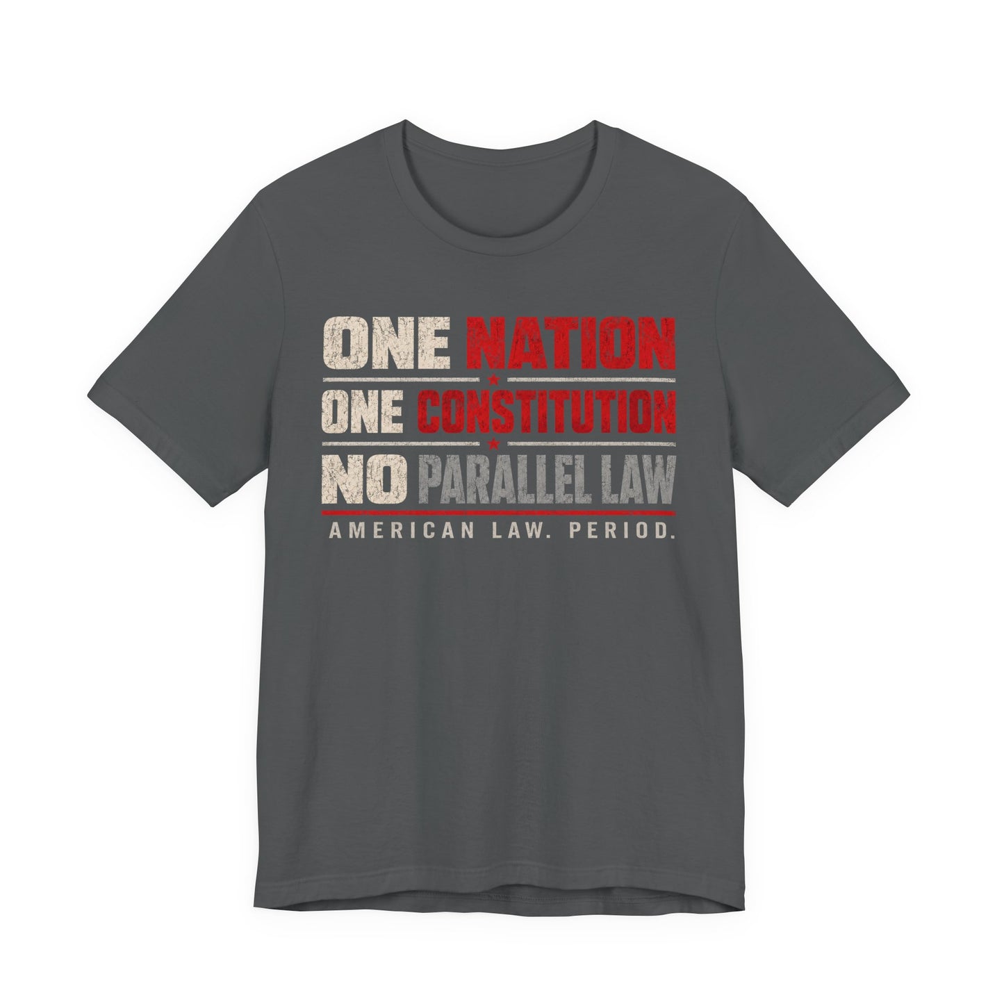 One Nation One Constitution Tee